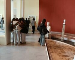 WhatsApp Image 2025-12-06 à 17.53.11_e4f9383f