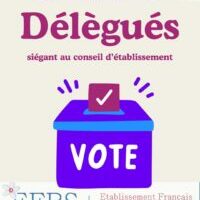 Story instagram élections vote moderne engagé bleu